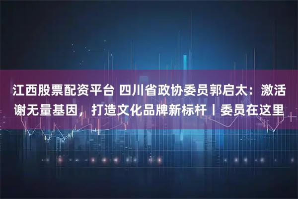 江西股票配资平台 四川省政协委员郭启太：激活谢无量基因，打造文化品牌新标杆丨委员在这里