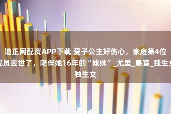 道正网配资APP下载 爱子公主好伤心，家庭第4位成员去世了，陪伴她16年的“妹妹”_尤里_皇室_独生女