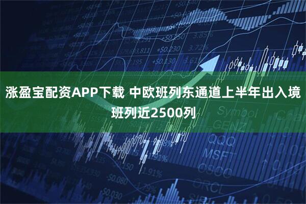 涨盈宝配资APP下载 中欧班列东通道上半年出入境班列近2500列