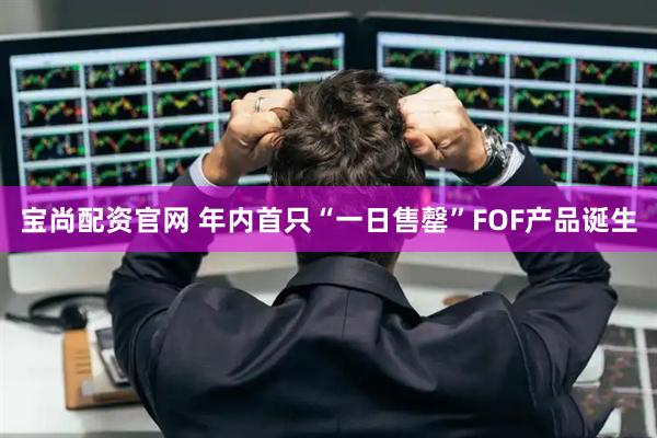 宝尚配资官网 年内首只“一日售罄”FOF产品诞生
