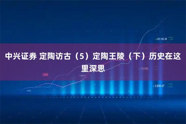中兴证券 定陶访古（5）定陶王陵（下）历史在这里深思